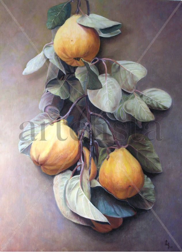 Membrillos IV