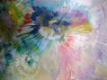 pavo real