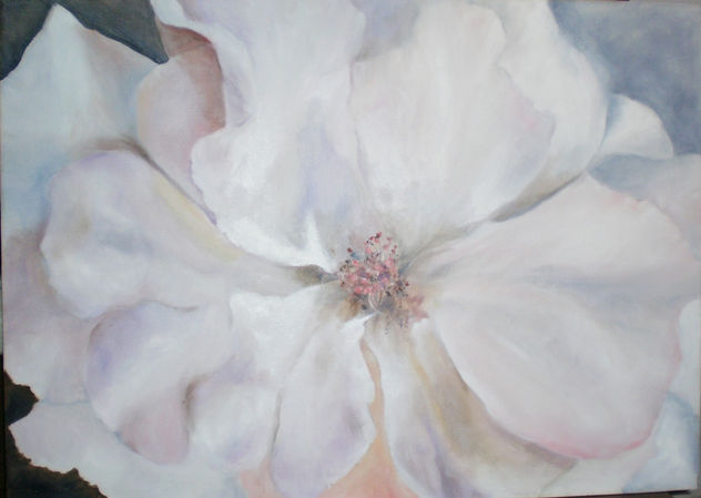 ROSA BLANCA