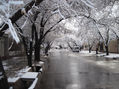paisaje de invierno