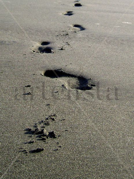 Encaminada