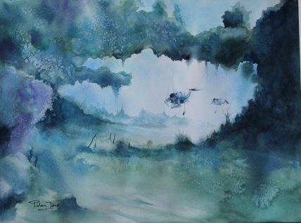 Coral reef 2