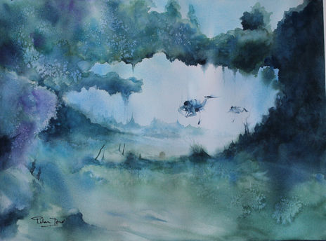 Coral reef 2