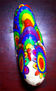 gay worm