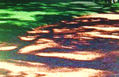 Redondeles de sol sobre la tierra