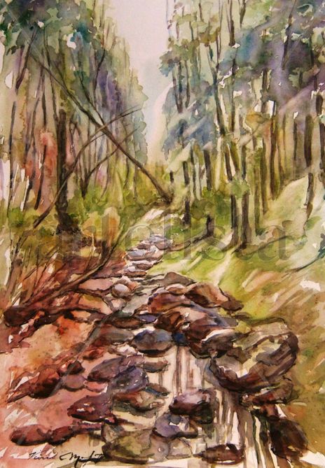 Barranco y arroyo I