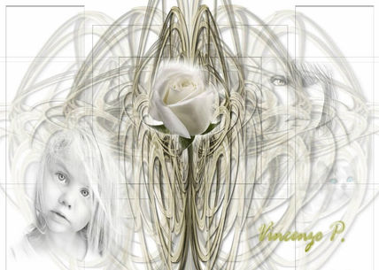 White rose