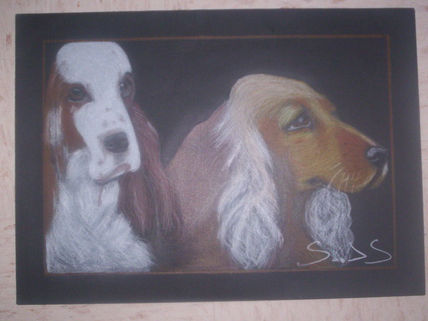 Perros