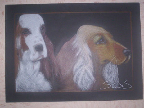 Perros