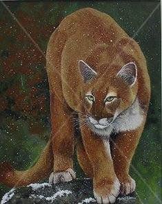 Puma Nevado Acrylic Canvas Animals