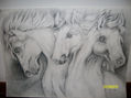 Three Horses
