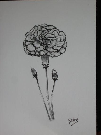 Clavel rotulador