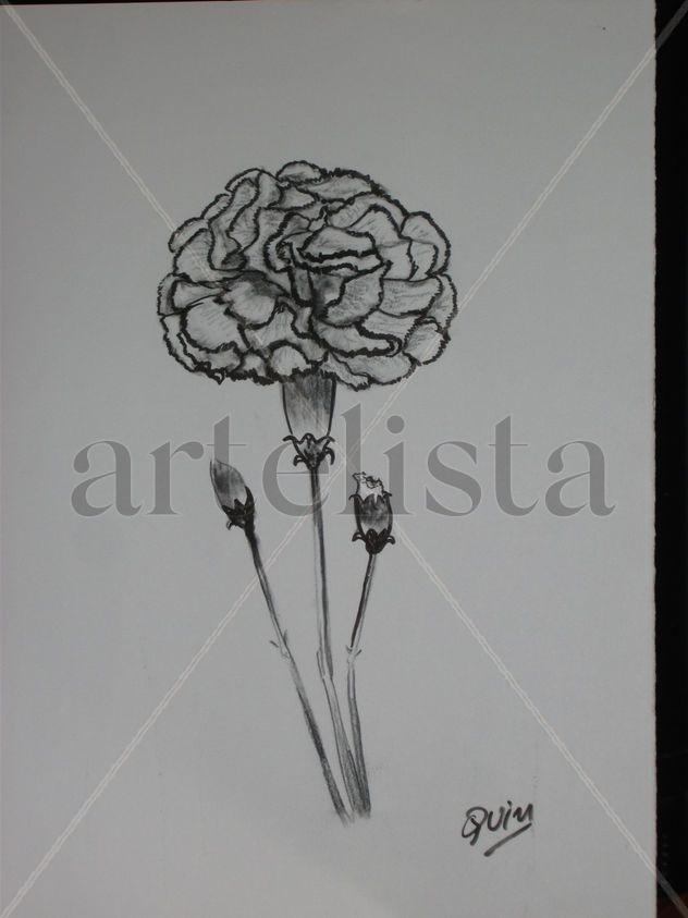CLAVEL ROTULADOR