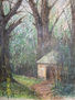 REFUGIO EN EL BOSQUE