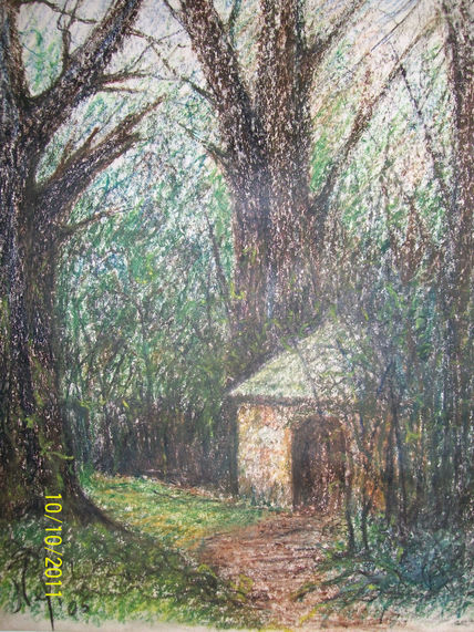 Refugio en el bosque
