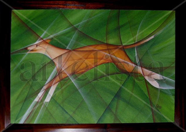 GALGO Acrylic Canvas Animals