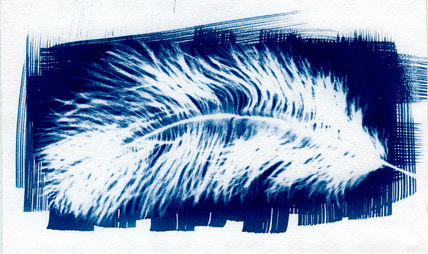Pluma