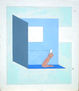 arquitecturas dolosas 12