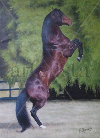 CABALLO DE P.R.E.