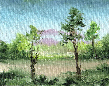 Paisaje