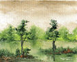 Paisaje
