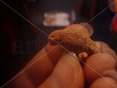 Periquito