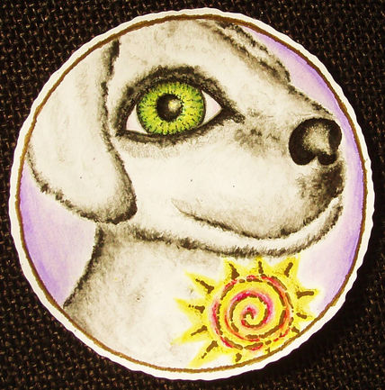 Perro