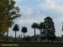 Casco con palmeras