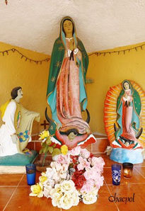 Guadalupe 094