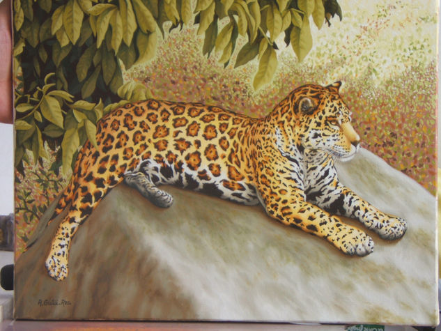 Jaguar 