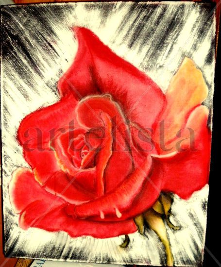 Rosa Oil Canvas Floral Painting