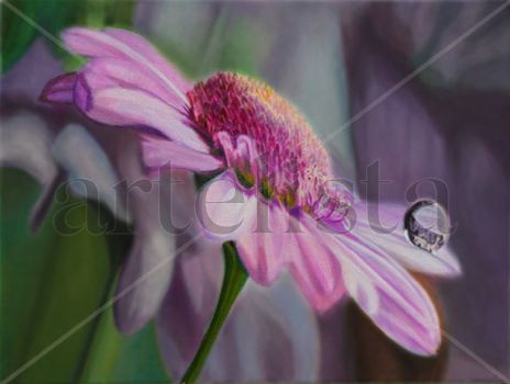 Flor