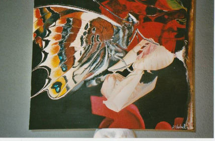 Mariposa