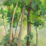 Paisajes rurales, 2005-2009 thumbnail 2