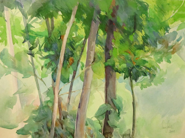 Bosque Media Mixta Papel Paisaje