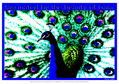 THE BEAUTY OF GAIA *3  (PÓSTER)