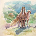 Animales en Canseco thumbnail 2