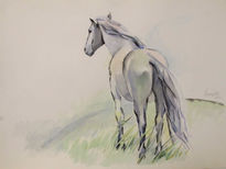 Caballo Blanco