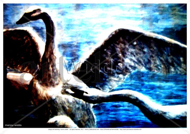 CISNES DEL NORTE  (PÓSTER)