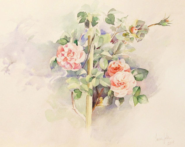 Tres rosas Watercolour Paper Floral Painting