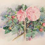 Flores thumbnail 2