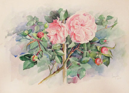 Rosal de Isa