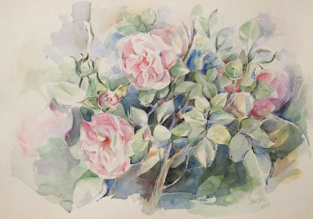 Rosal en flor