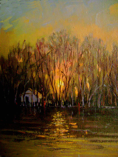 "ATARDECER EN TIGRE" Acrylic Canvas Landscaping