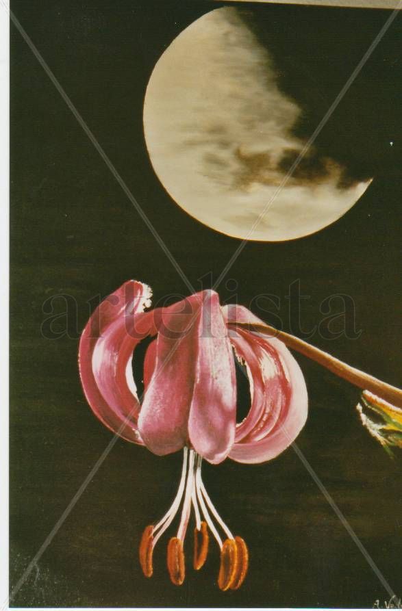 Orquídea.