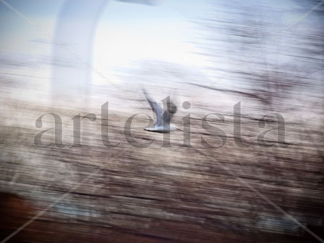 CONTRA EL VIENTO 