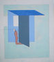 arquitecturas dolosas 4