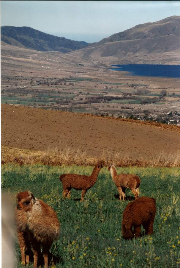 paisaje norteño