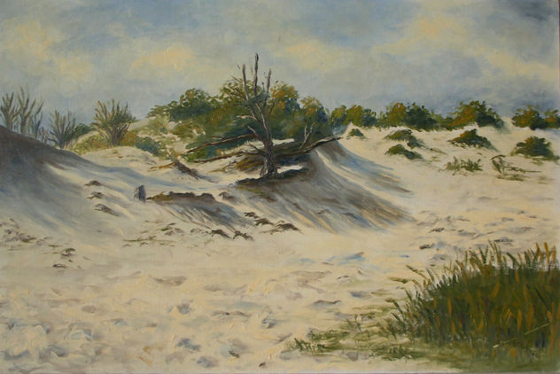 ARENAS SOLITARIAS