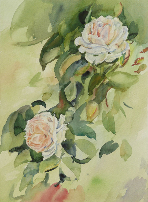 Rosas blancas 3